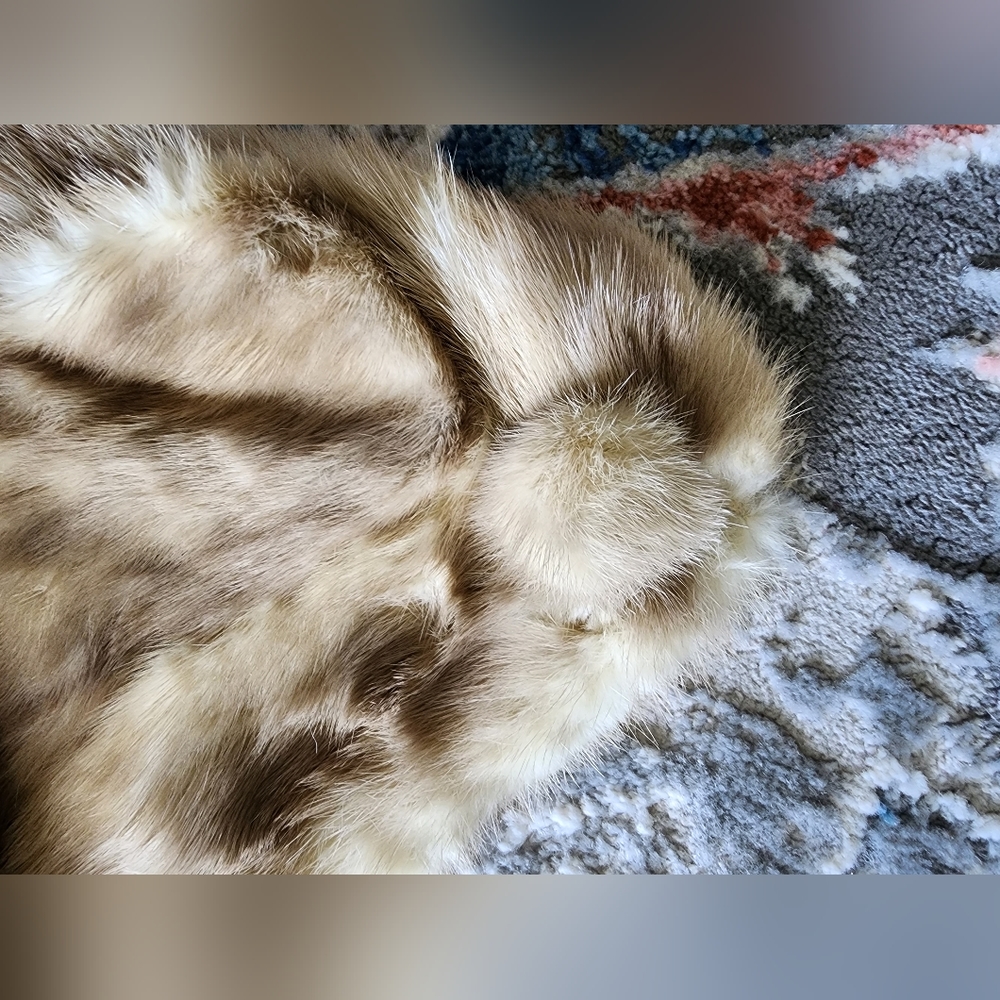 Fur Accessory - image 3